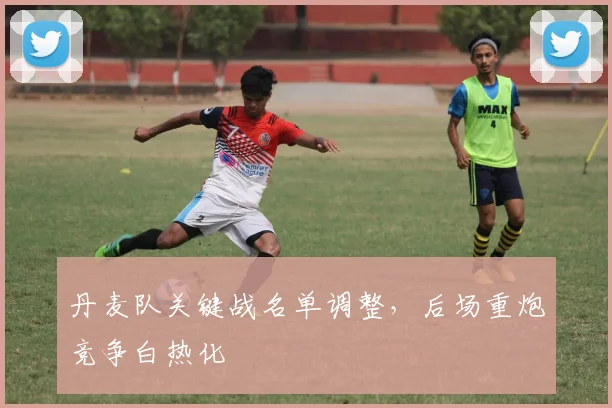 丹麦队关键战名单调整，后场重炮竞争白热化